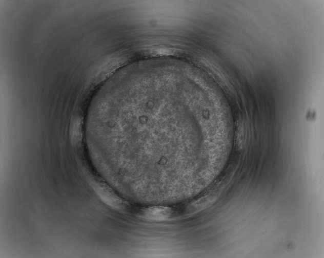 X0000101110410200807241140