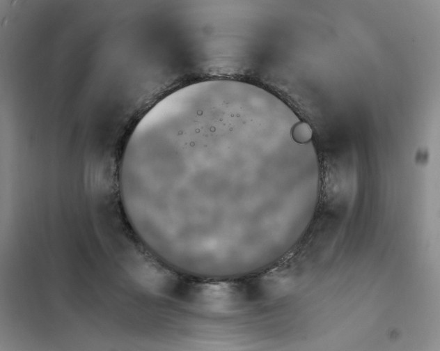 X0000101110411200807241140