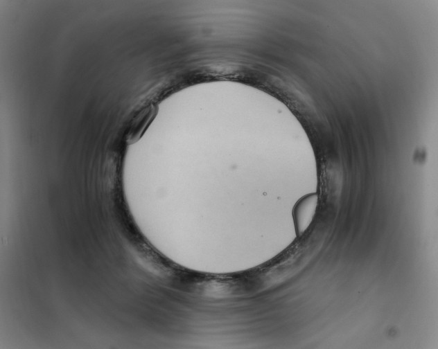 X0000101110412200807241140