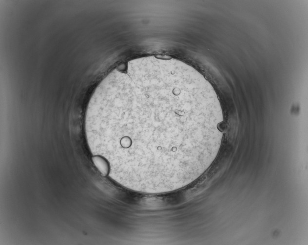 X0000101110413200807241140