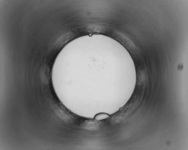 X0000101110414200807241140