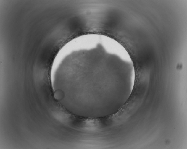 X0000101110415200807241140