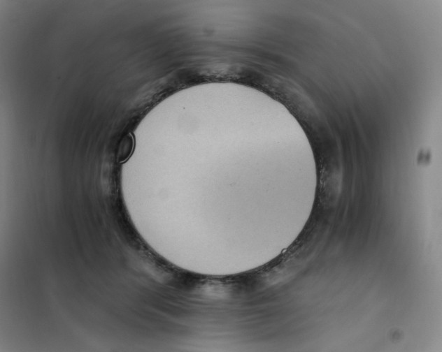 X0000101110416200807241140