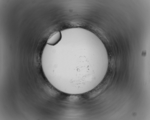 X0000101110418200807241140