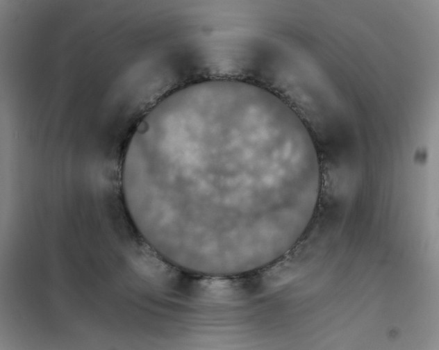 X0000101110419200807241140
