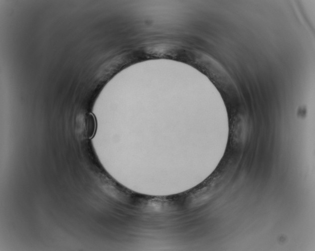 X0000101110420200807241140