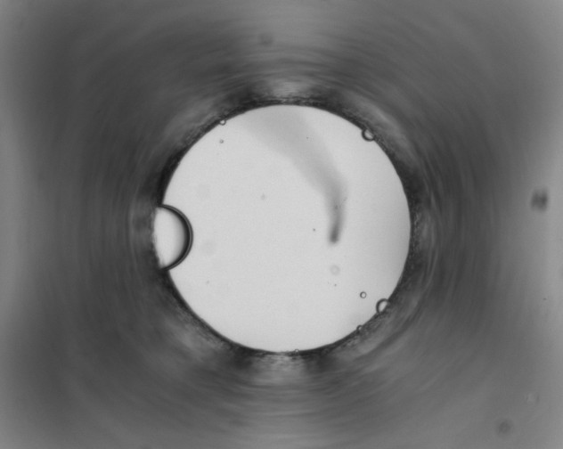 X0000101110421200807241140