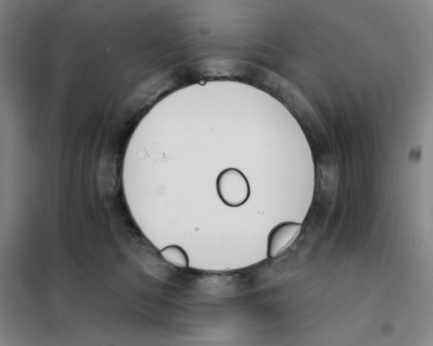 X0000101110422200807241140