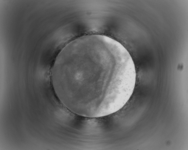 X0000101110423200807241140