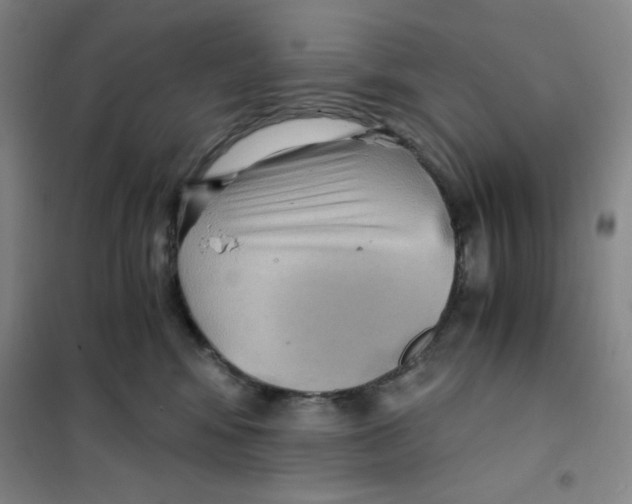 X0000101110424200807241140