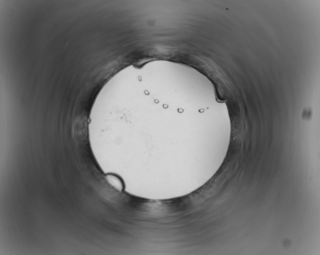 X0000101110425200807241140