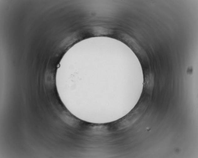X0000101110426200807241140