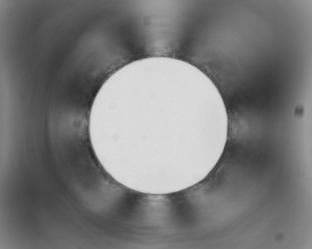 X0000101110427200807241140