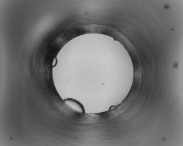 X0000101110429200807241140