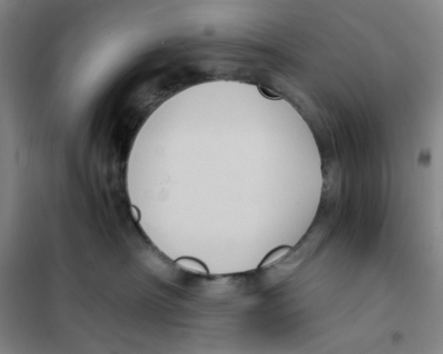 X0000101110430200807241140