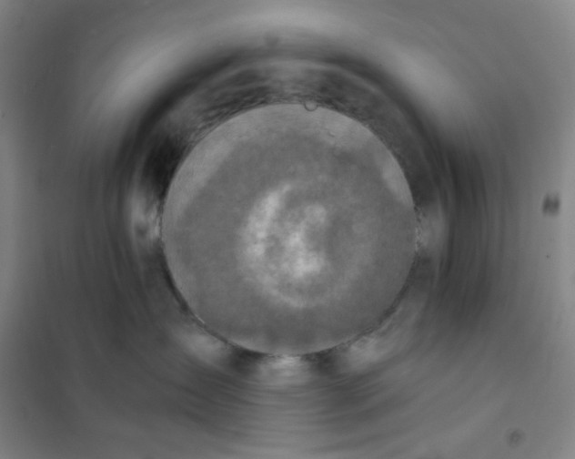 X0000101110431200807241140