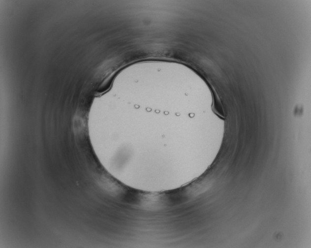 X0000101110432200807241140
