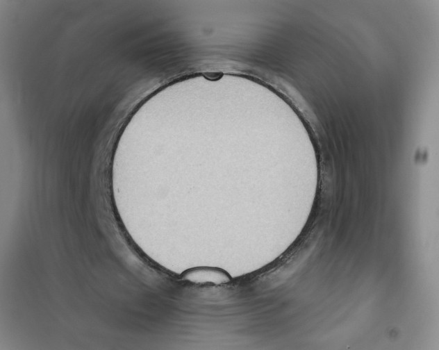 X0000101110433200807241139