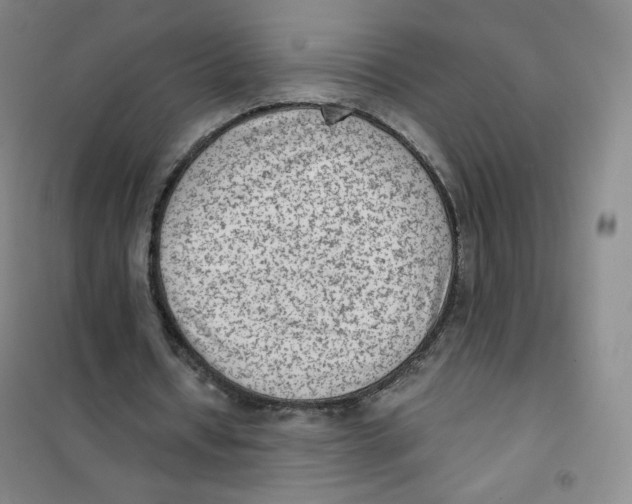 X0000101110434200807241139