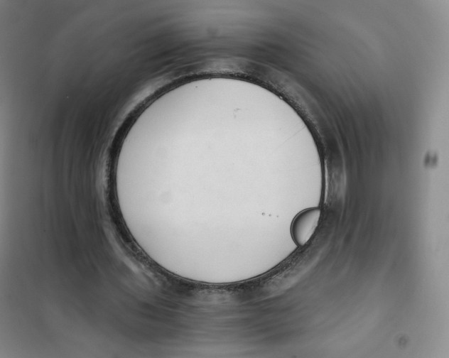 X0000101110435200807241139