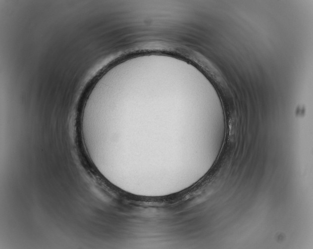 X0000101110436200807241139