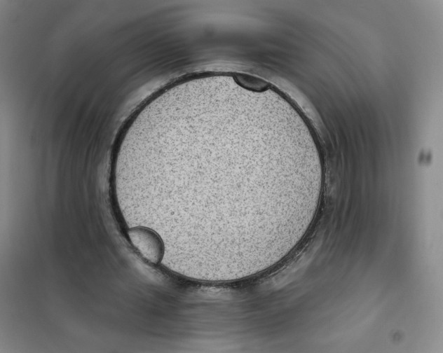 X0000101110437200807241139