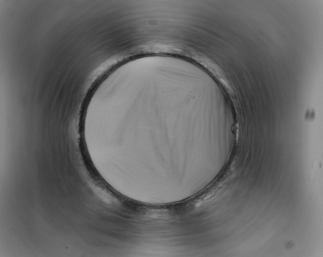 X0000101110438200807241139