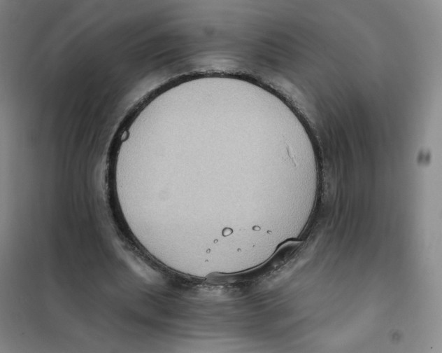 X0000101110439200807241139