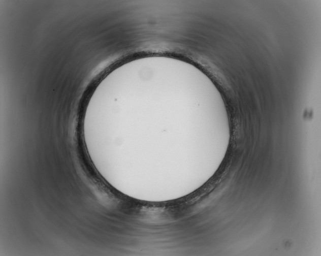 X0000101110440200807241139