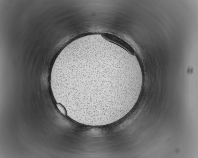 X0000101110441200807241139