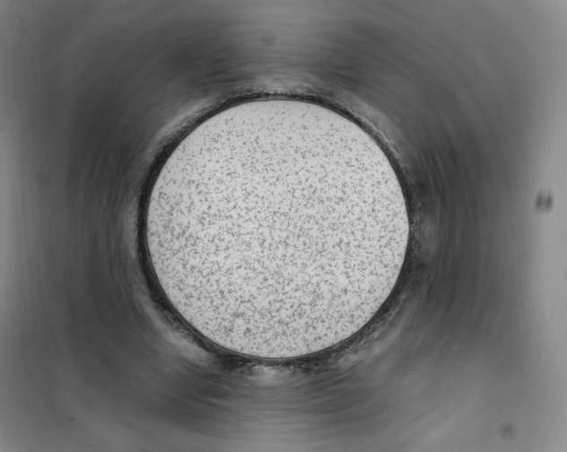 X0000101110442200807241139