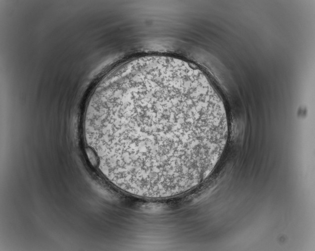 X0000101110444200807241139