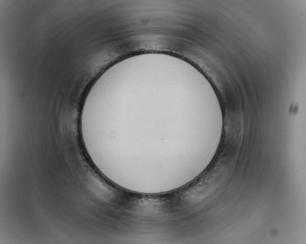 X0000101110445200807241139