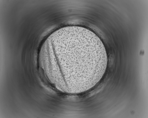 X0000101110446200807241139