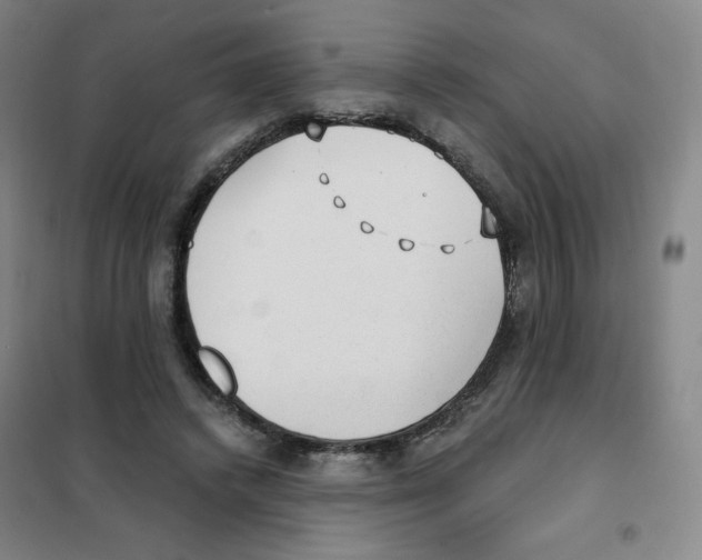 X0000101110448200807241139