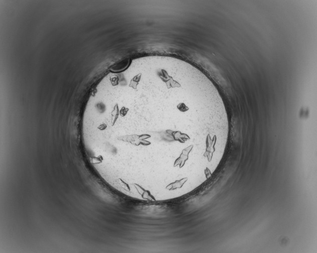 X0000101110449200807241139