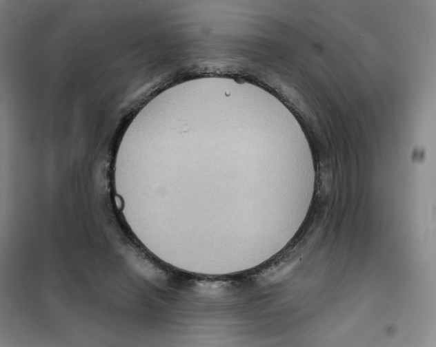 X0000101110450200807241139