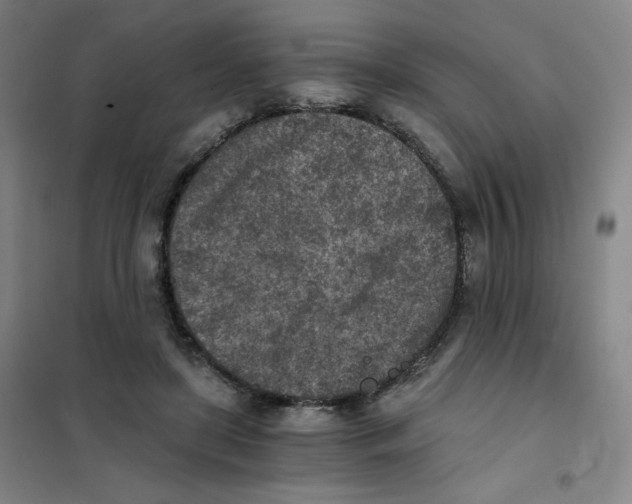 X0000101110451200807241139
