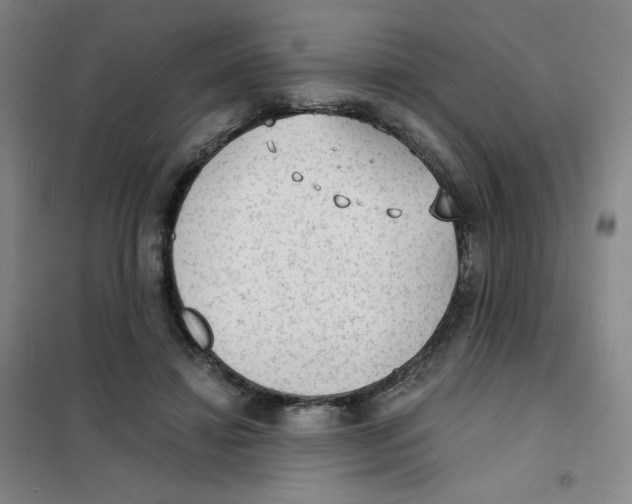 X0000101110452200807241139