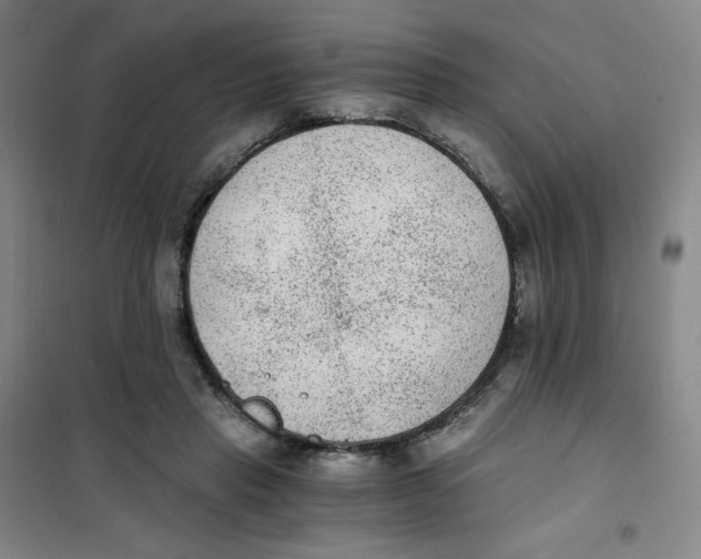 X0000101110453200807241139