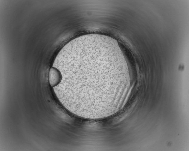 X0000101110454200807241139