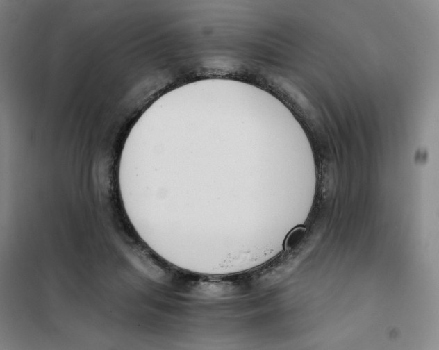 X0000101110455200807241139