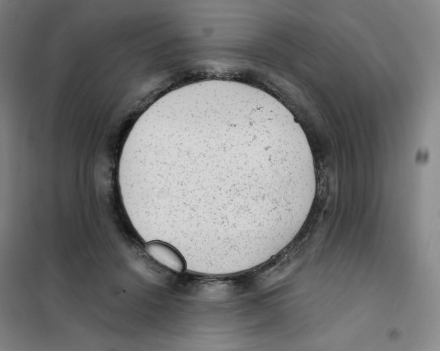 X0000101110456200807241139