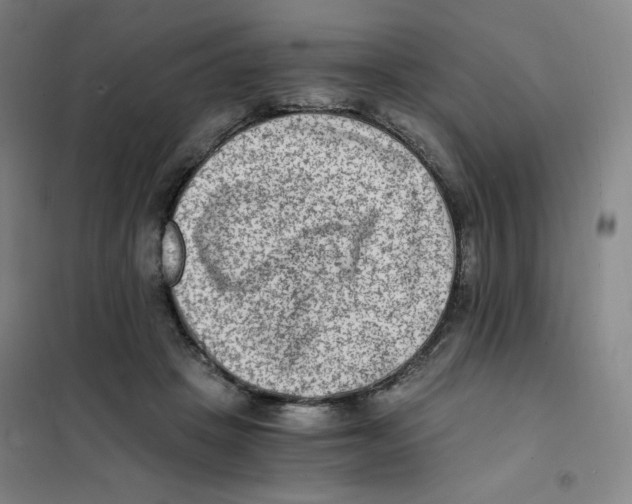X0000101110457200807241139