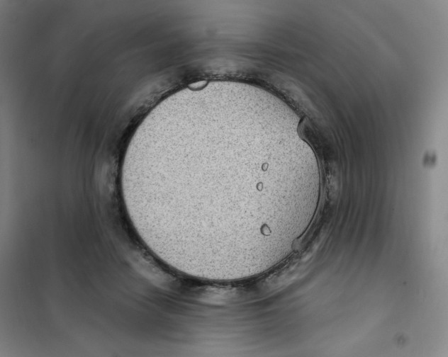 X0000101110458200807241139