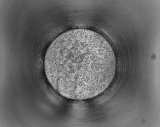 X0000101110459200807241139