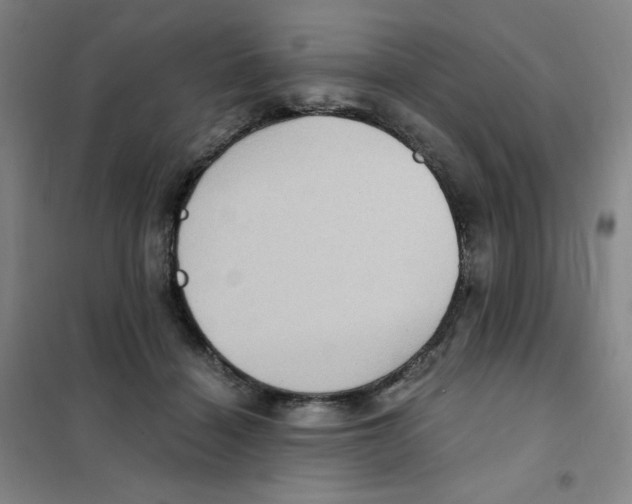X0000101110460200807241139