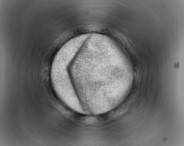 X0000101110462200807241139