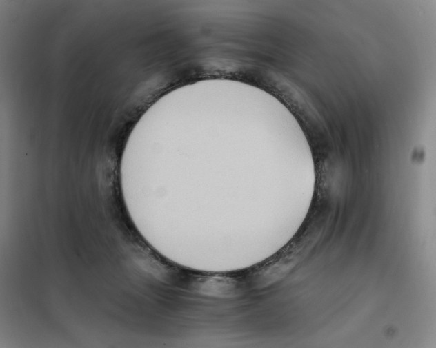 X0000101110463200807241139