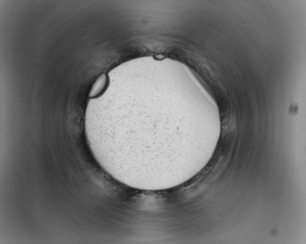 X0000101110464200807241139